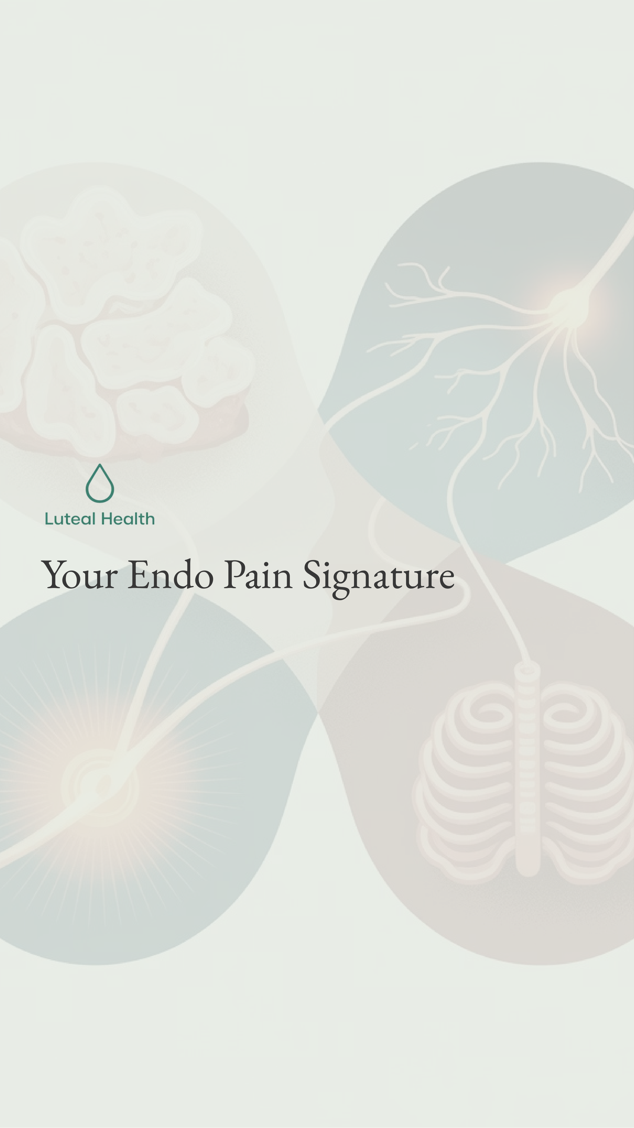 Cover — Your Endo Pain Signature