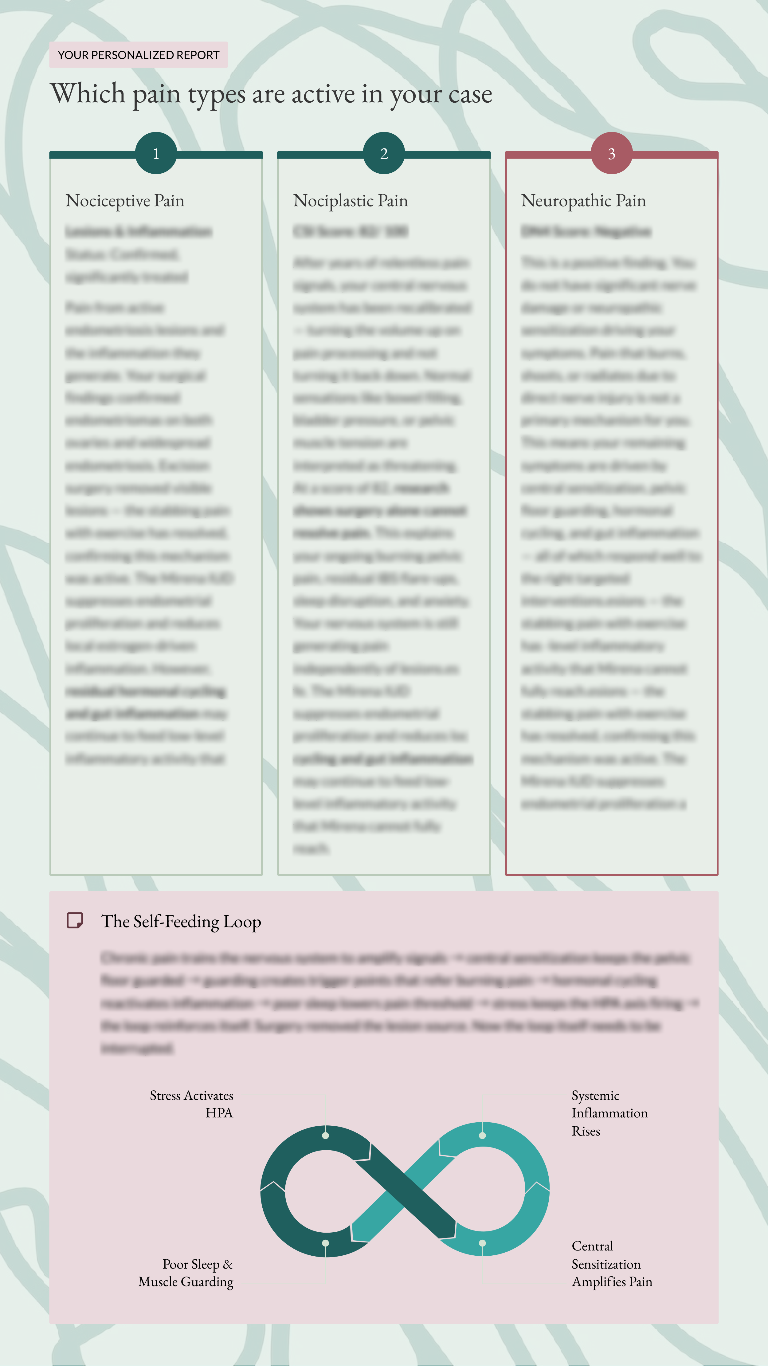 Sample — pain mechanisms scored